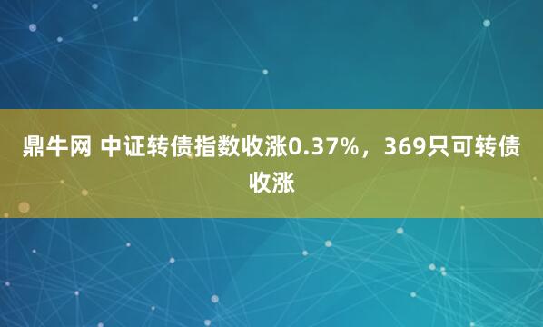 鼎牛网 中证转债指数收涨0.37%，369只可转债收涨