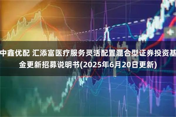 中鑫优配 汇添富医疗服务灵活配置混合型证券投资基金更新招募说明书(2025年6月20日更新)