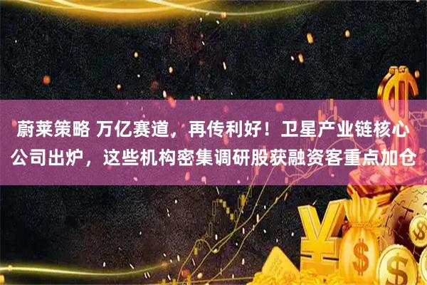蔚莱策略 万亿赛道，再传利好！卫星产业链核心公司出炉，这些机构密集调研股获融资客重点加仓